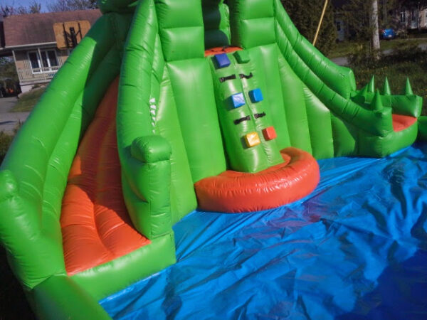 Croco Splash – Image 3