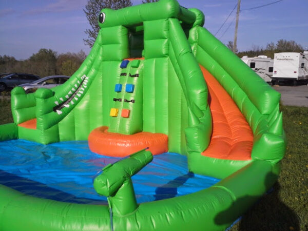 Croco Splash – Image 4