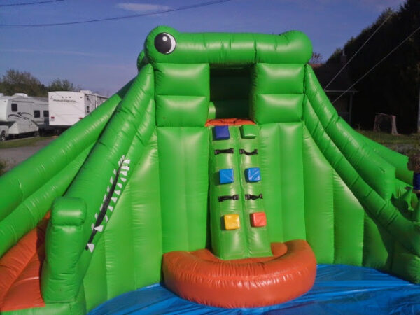 Croco Splash – Image 5