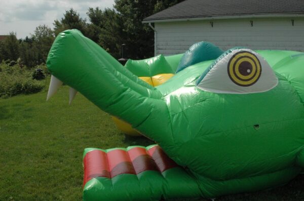 Tunnel Crocodile – Image 2