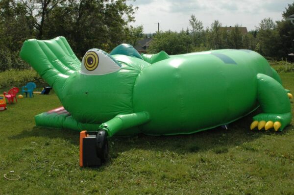 Tunnel Crocodile – Image 3