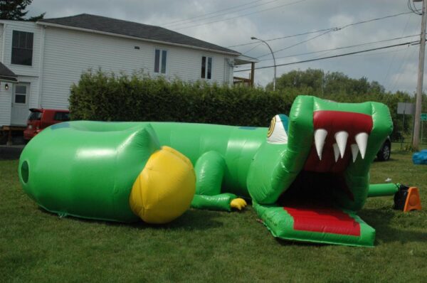 Tunnel Crocodile – Image 4