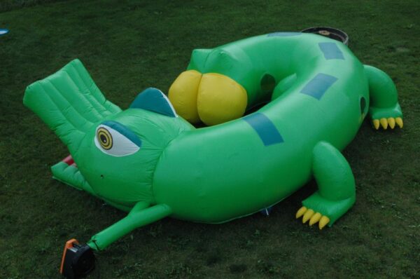 Tunnel Crocodile – Image 5