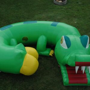Tunnel Crocodile