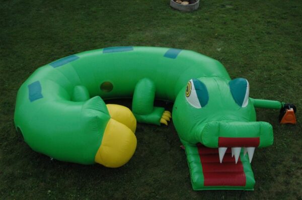 Tunnel Crocodile