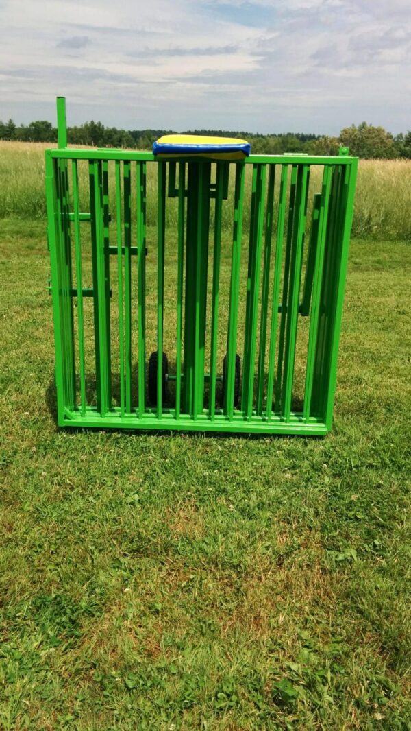 Tombe à l'eau "dunk tank" – Image 4