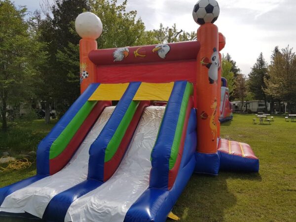 Multi Sport – Image 5