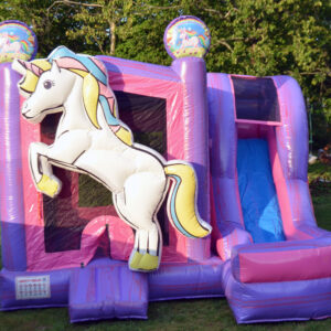 Nouvelle licorne