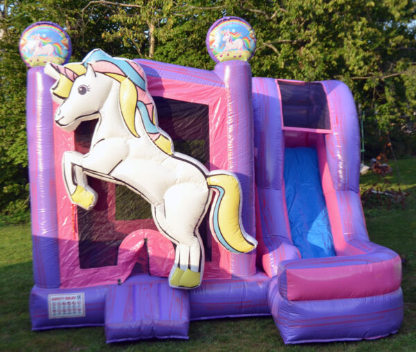 Nouvelle licorne