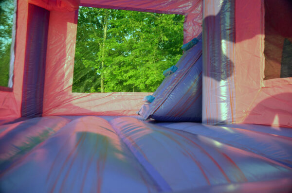 Nouvelle licorne – Image 2