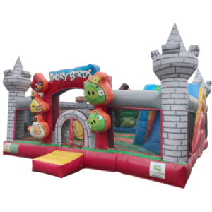 Combo préscolaire Angry Birds