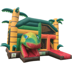 Combo Caméléon