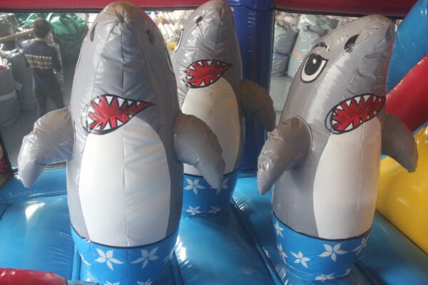 Combo requin – Image 4