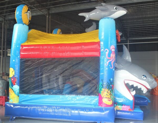 Combo requin – Image 3