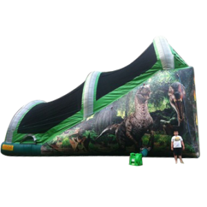 À vendre :Glissade Jurassic