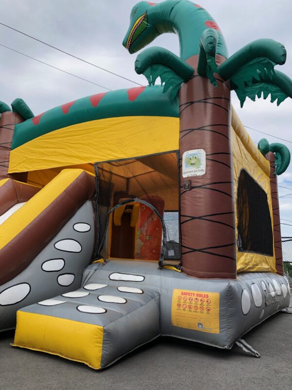 Combo Dino – Image 2